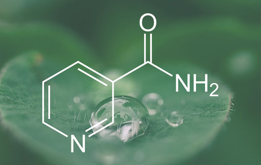 Ingredient Spotlight: Niacinamide & its 5 Skincare BFFs - Himuggu