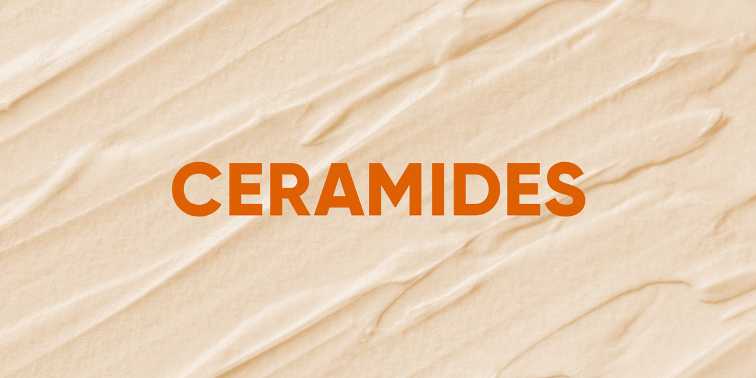 Ingredient Spotlight: Ceramides